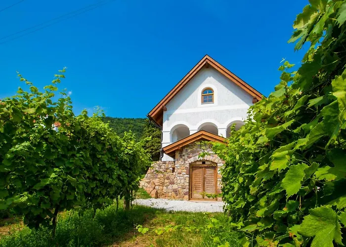 Csendes Dulo Szolobirtok Badacsonyoers