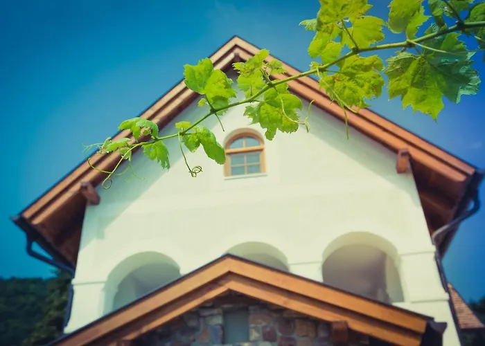 Csendes Dulo Szolobirtok Badacsonyoers